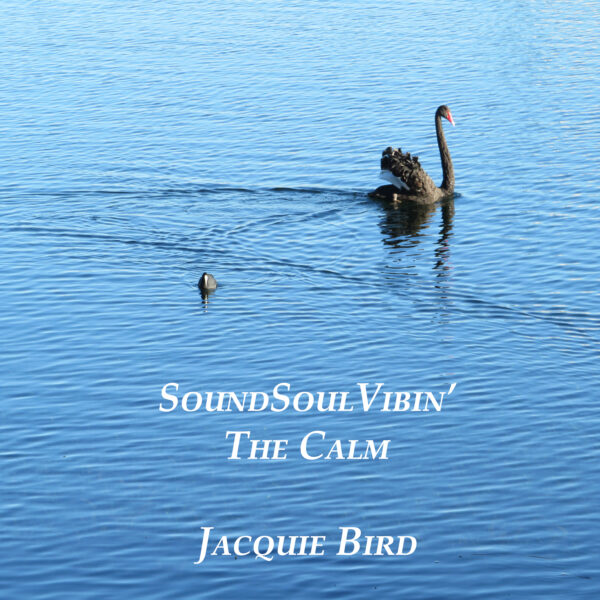 The Calm Movement digital album. SoundSoulVibin' Music by Jacquie Bird Album of ambient sounds.