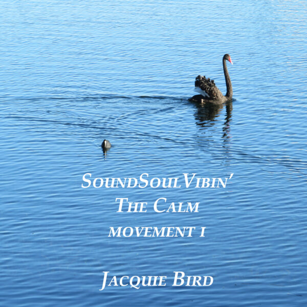 The Calm Movement I. SoundSoulVibin' Music by Jacquie Bird Album of ambient sounds.